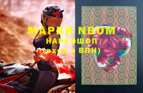 стаф Ростов